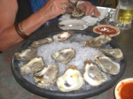 Oysters!!
